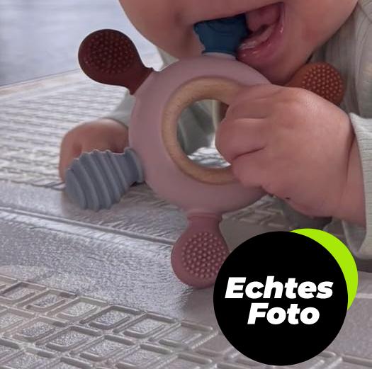 caja-beissring-baby-bpa-frei-silikon-holz-tiermotiv-foto-2