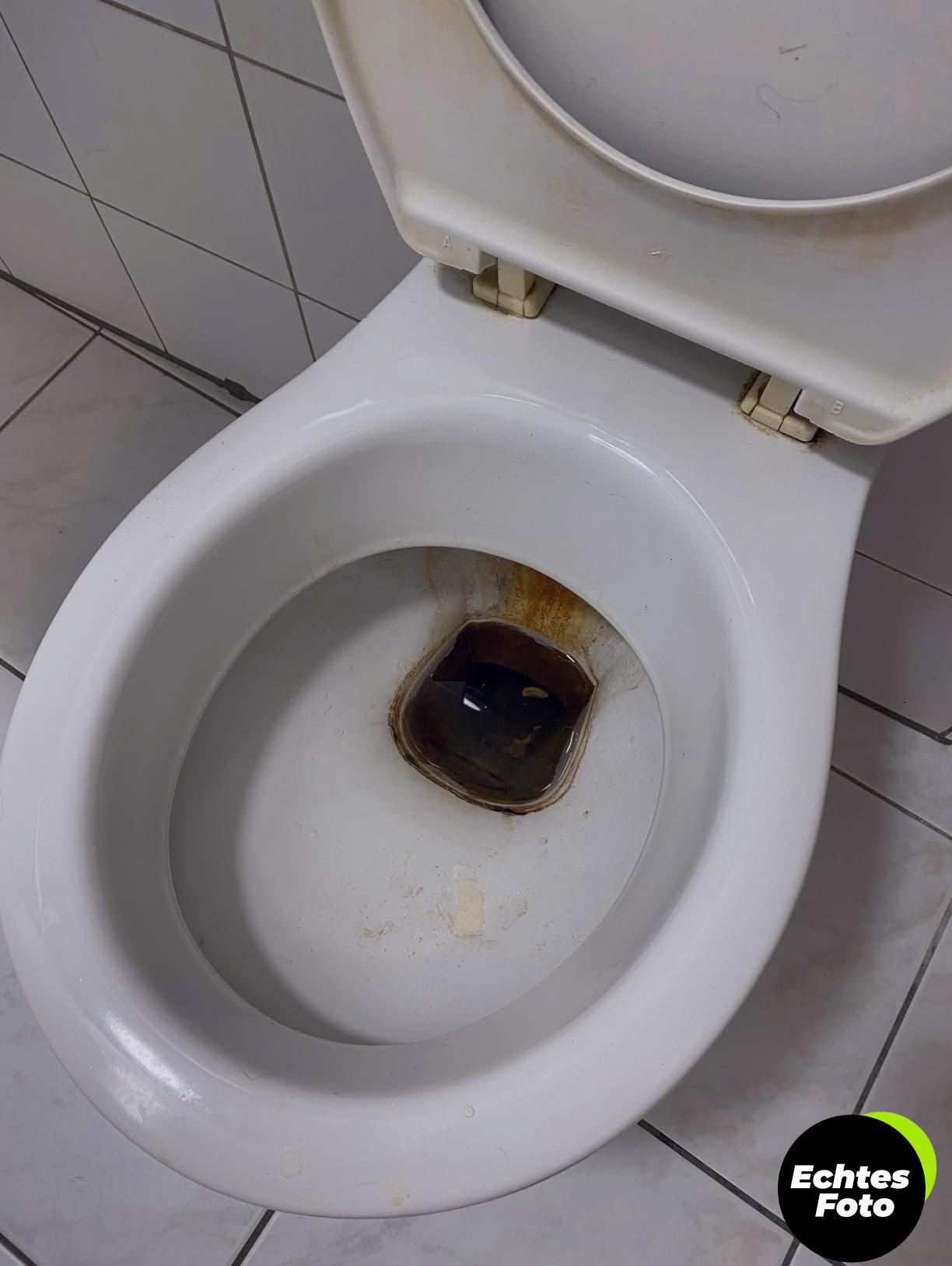 vexil-urinsteinloeser-extra-1l-foto-1